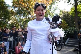 Washington Square Park Dog Halloween