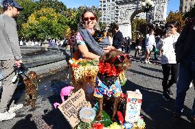 Washington Square Park Dog Halloween