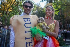 Washington Square Park Dog Halloween