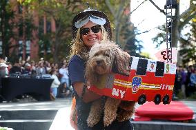 Washington Square Park Dog Halloween