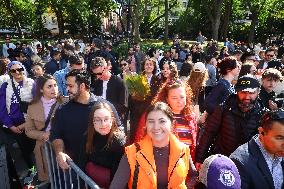 Washington Square Park Dog Halloween