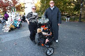 Washington Square Park Dog Halloween