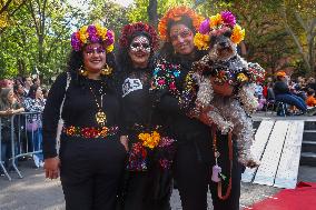 Washington Square Park Dog Halloween