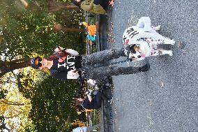 Washington Square Park Dog Halloween