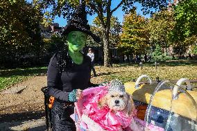 Washington Square Park Dog Halloween