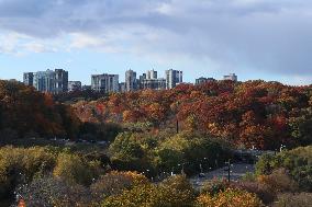 Autumn Weather In Toronto, Canada