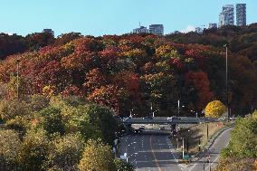 Autumn Weather In Toronto, Canada