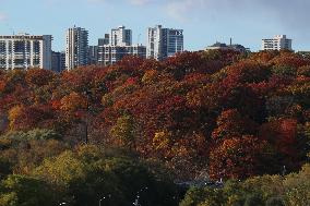 Autumn Weather In Toronto, Canada