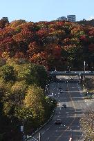 Autumn Weather In Toronto, Canada