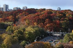 Autumn Weather In Toronto, Canada