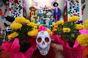 Monumental Skulls Of Tlahuac Exhibition