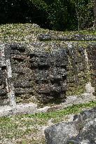 Altun Ha Archeological Site