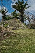 Altun Ha Archeological Site