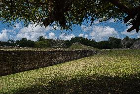 Altun Ha Archeological Site