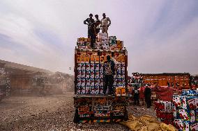 Apple Business In Kashmir