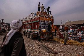 Apple Business In Kashmir