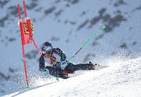 SPORT INVERNALI - Sci Alpino - Giants Slalom Men World Cup