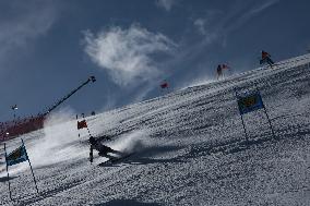 SPORT INVERNALI - Sci Alpino - Giants Slalom Men World Cup