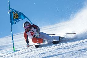 SPORT INVERNALI - Sci Alpino - Giants Slalom Men World Cup