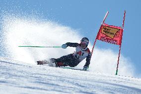 SPORT INVERNALI - Sci Alpino - Giants Slalom Men World Cup