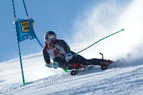 SPORT INVERNALI - Sci Alpino - Giants Slalom Men World Cup