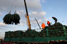 Oyster Farming in Lianyungang