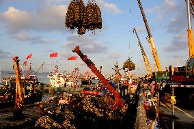 Oyster Farming in Lianyungang