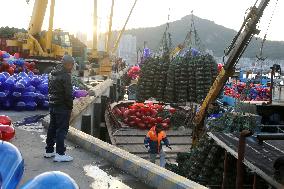 Oyster Farming in Lianyungang