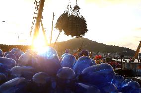 Oyster Farming in Lianyungang