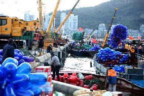 Oyster Farming in Lianyungang