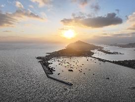 Oyster Farming in Lianyungang