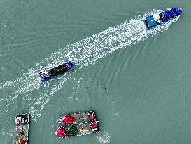 Oyster Farming in Lianyungang