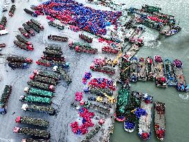 Oyster Farming in Lianyungang