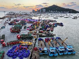 Oyster Farming in Lianyungang