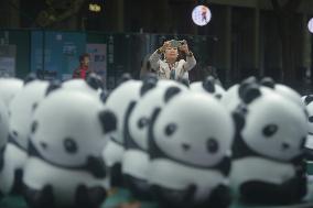 Giant Panda Matrix Art Installation in Hangzhou