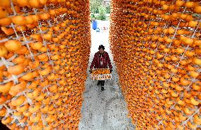 Persimmons Processed in Handan