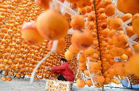 Persimmons Processed in Handan