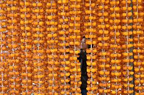 Persimmons Processed in Handan