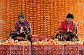 Persimmons Processed in Handan