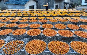 Farmer Airing Persimmons - China