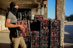 Manufacture Of Pomegranate Molasses And Drinks - Syria