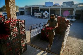 Manufacture Of Pomegranate Molasses And Drinks - Syria