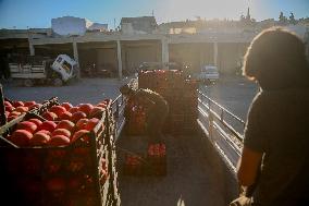 Manufacture Of Pomegranate Molasses And Drinks - Syria