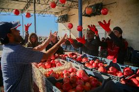 Manufacture Of Pomegranate Molasses And Drinks - Syria