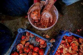 Manufacture Of Pomegranate Molasses And Drinks - Syria