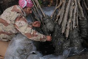 Nowruz Celebration - Iraq