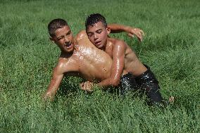 Oil Wrestling Tournament - Turkey