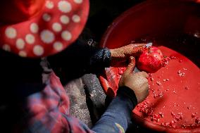 Manufacture Of Pomegranate Molasses And Drinks - Syria