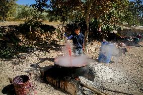 Manufacture Of Pomegranate Molasses And Drinks - Syria