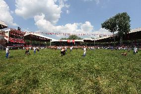 Oil Wrestling Tournament - Turkey